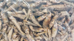 Anchovies - Australian