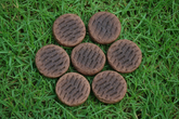 Beef Patties 3