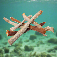 Shark Jerky Sticks & Pieces. New & On Special!