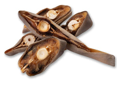 Shark Tail MINI Cutlets with Cartilage. For small dogs! ON SPECIAL!