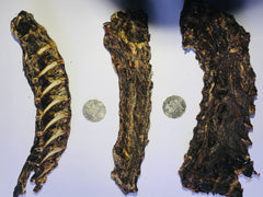 Roo Neck Pieces. Special Intro Prices!