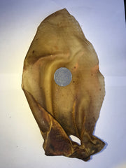 Beef Cow Ears Giant. Australlian. Very short run!