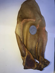 Beef Cow Ears Giant. Australlian. Very short run!