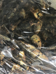 Pilchards / Sardines Meal - Doesn't get better than Aussie fish! Great meal topper!