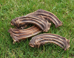 Roo Ribs