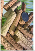 Roo, Kale & Spinach Sticks. New Products. ON SPECIAL NOW! Be Quick