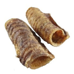 Camel Trachea. 15-20cm. Australian.