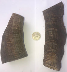 Goat Horns (Butts). GIANT! Extra Thick Cut. 120mm ave. Australian