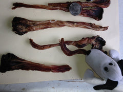 Roo Kangaroo Tendons. Standard size.