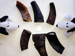 Goat Horns. Extra Thick Cut. Standard (80-120mm) Australian