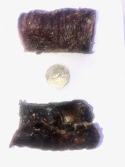 Trachea Small. For small & medium dogs. Australian.