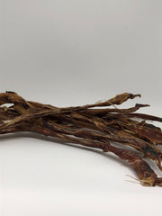 Pork Pizzles - up to 40cm! Australian.