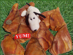 Pig Ears. Large 100% Australian. ON SPECIAL NOW. BE QUICK!