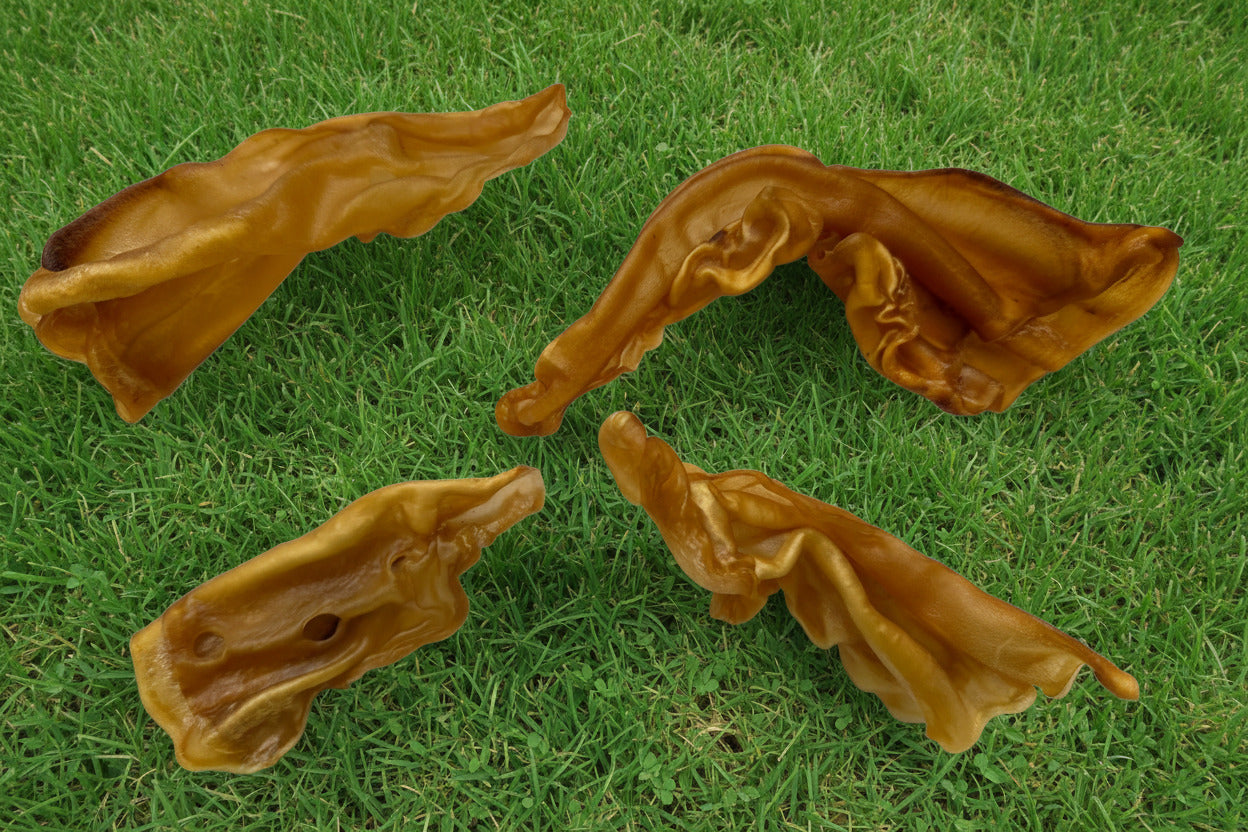 Beef Ears Bulk
