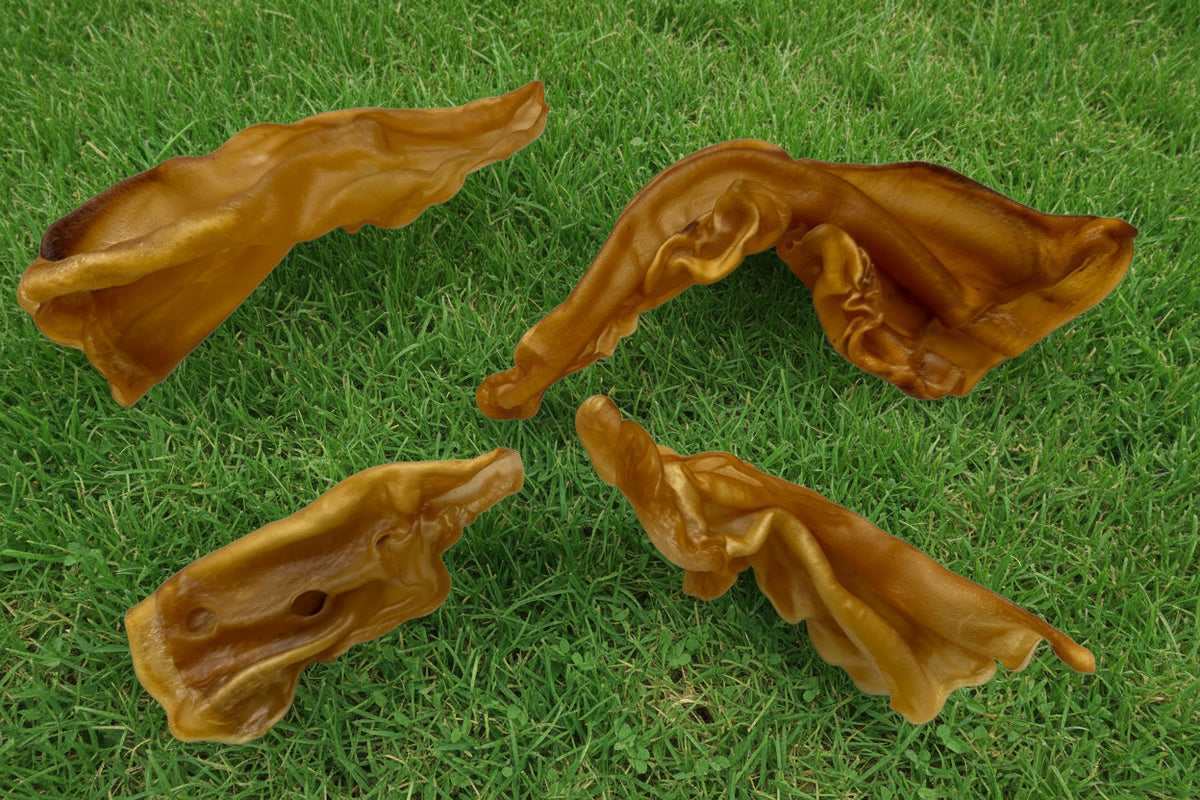 Beef Ears Bulk
