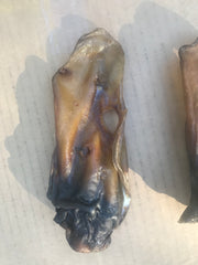 Beef / Cow Ears with Scroll. Small-Medium. Australian