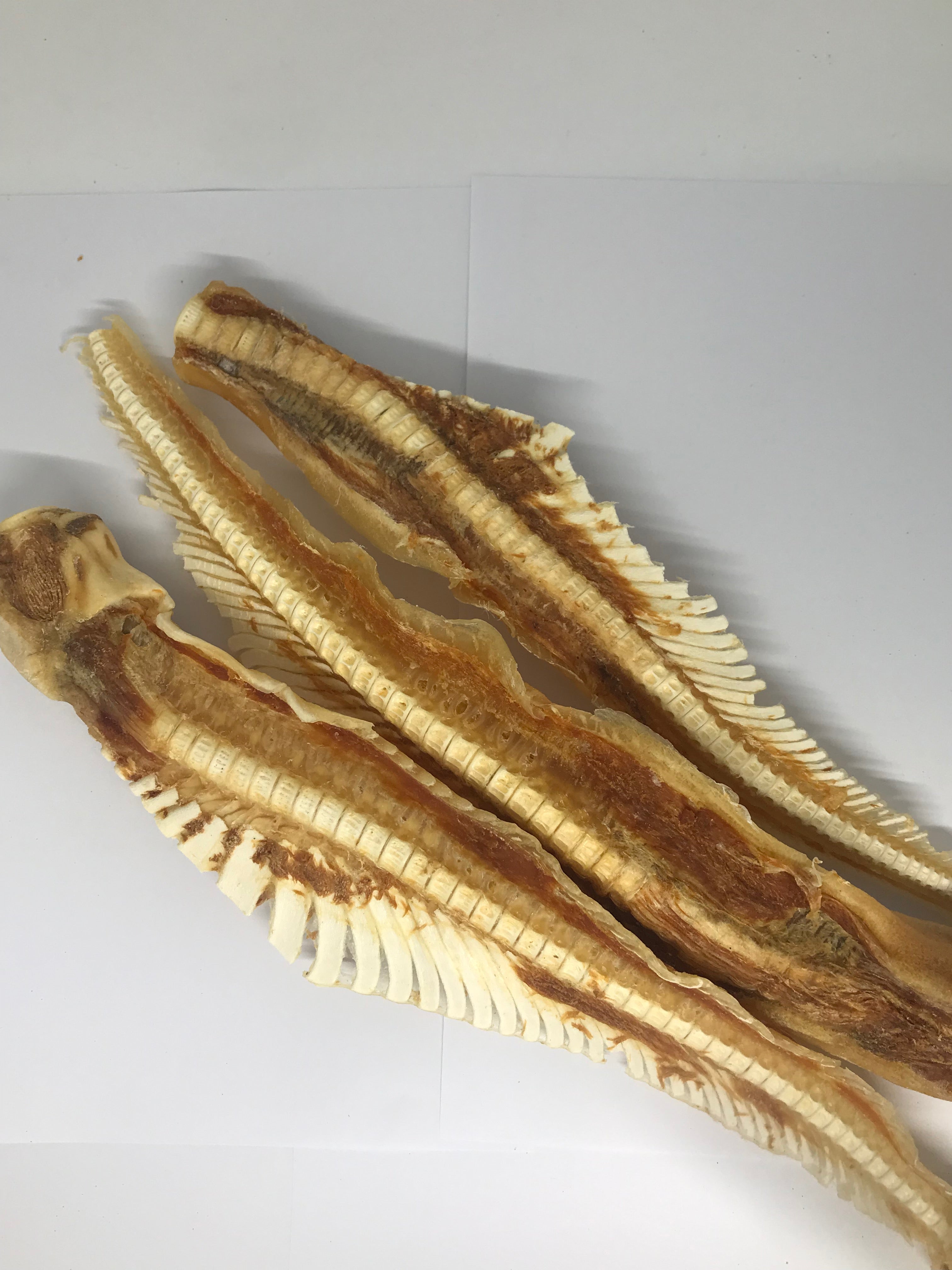 Shark Cartilage - Large. Australian.