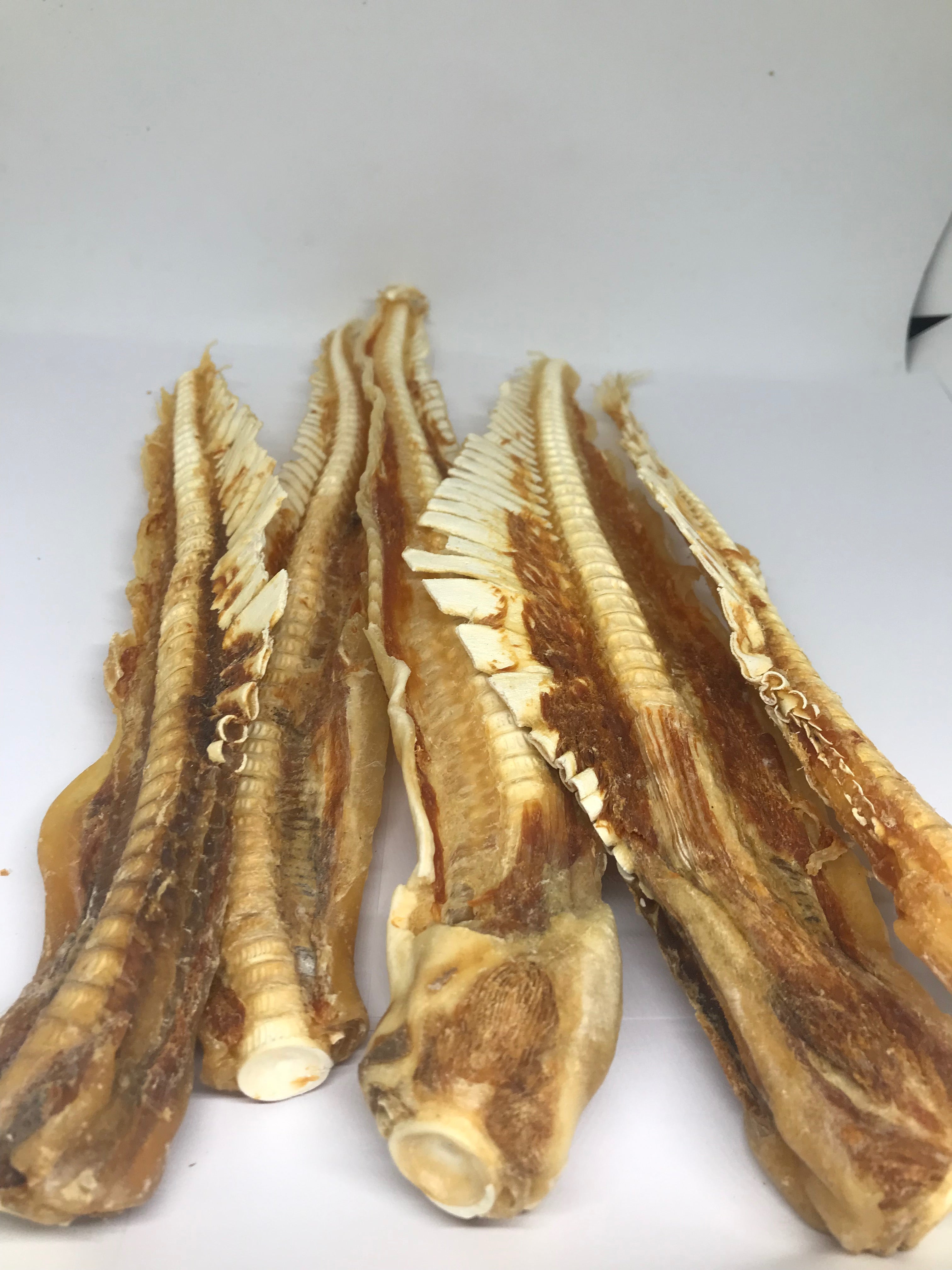 Shark Cartilage - Large. Australian.
