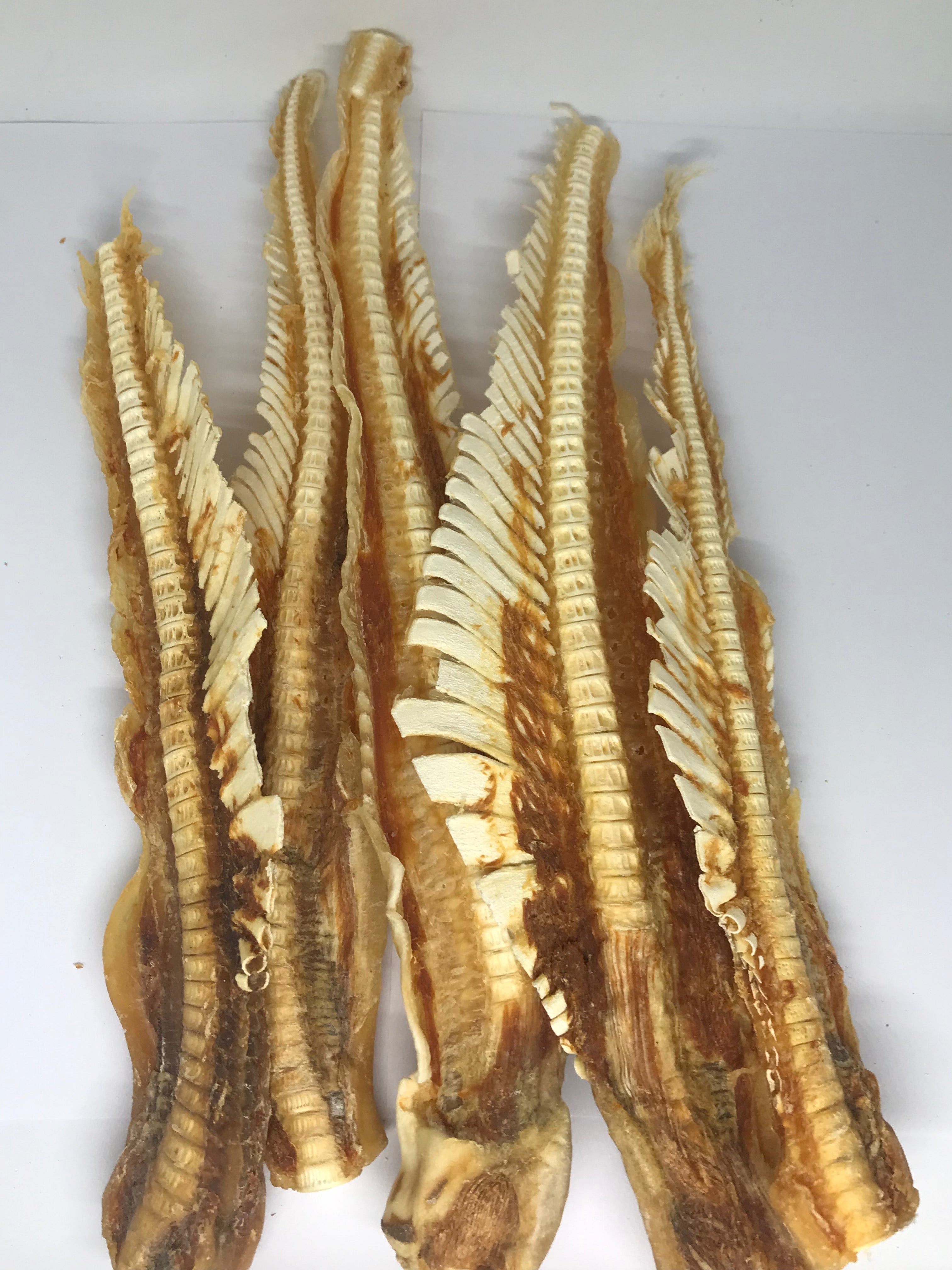 Shark Cartilage - Large. Australian.