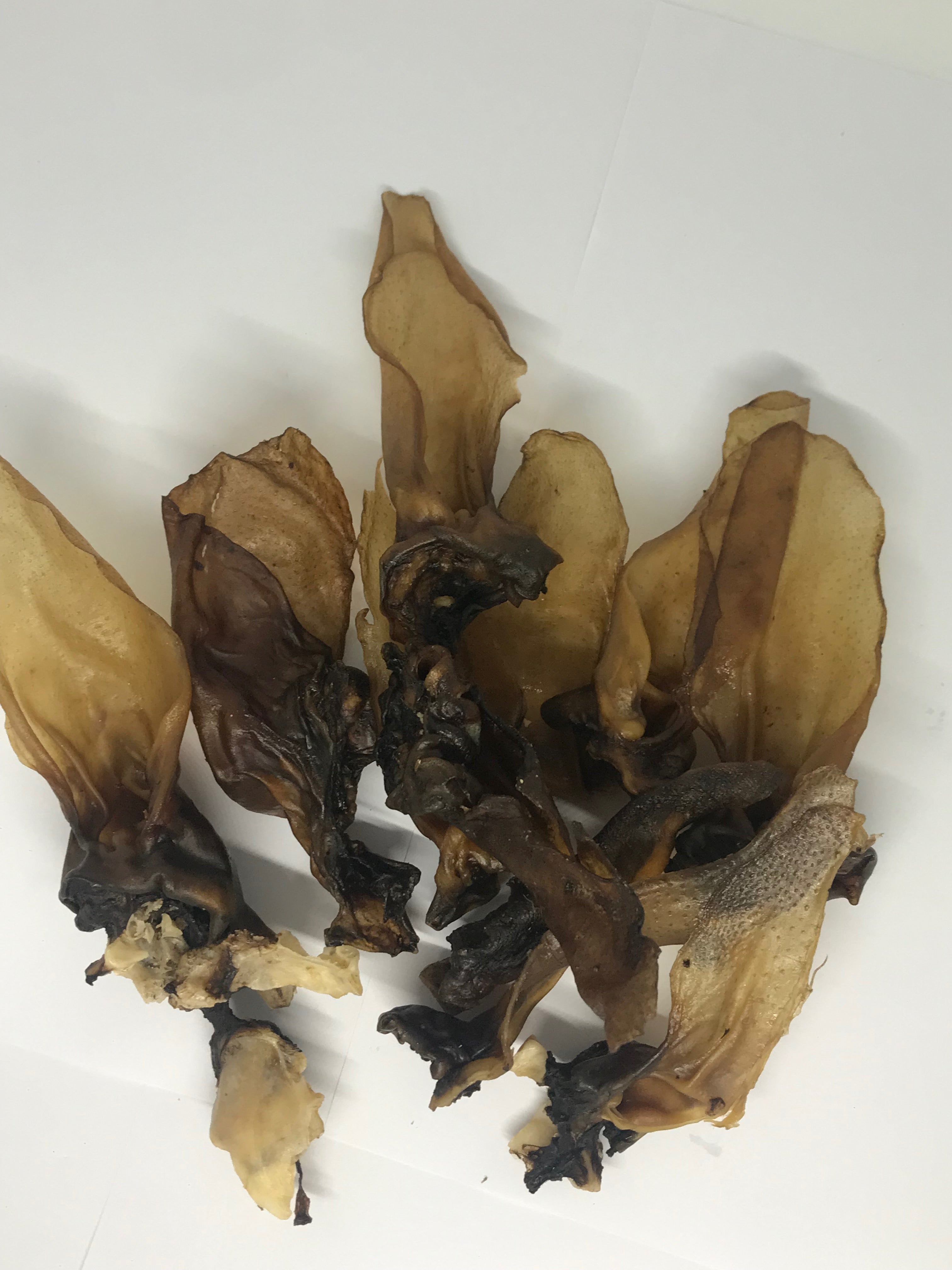 Kangaroo Roo Ears (no fur) - very short run - be quick! SOLD OUT! We have ears with fur still