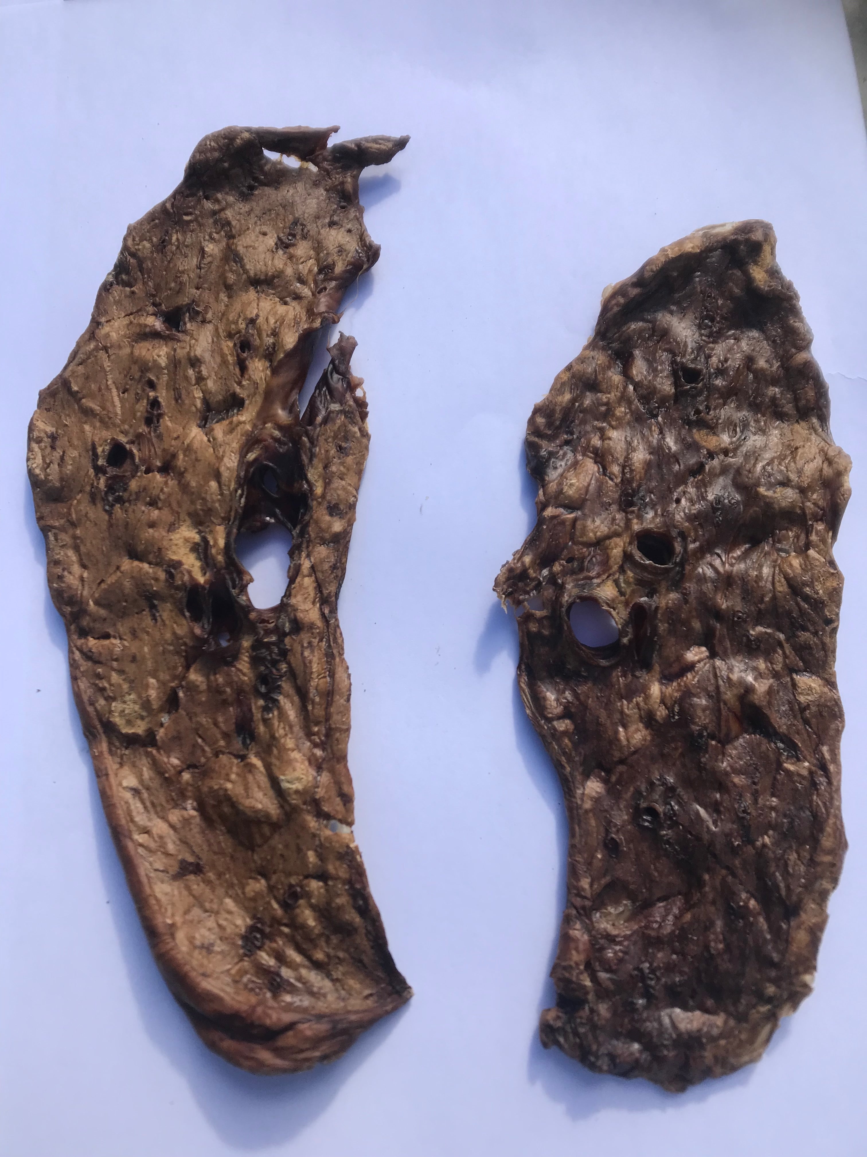 Lamb Lung Crumble. THICK Australian.