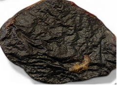 Lamb Jerky Crunch