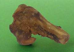 Lamb Knuckle 2