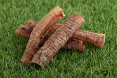 Lamb Trachea