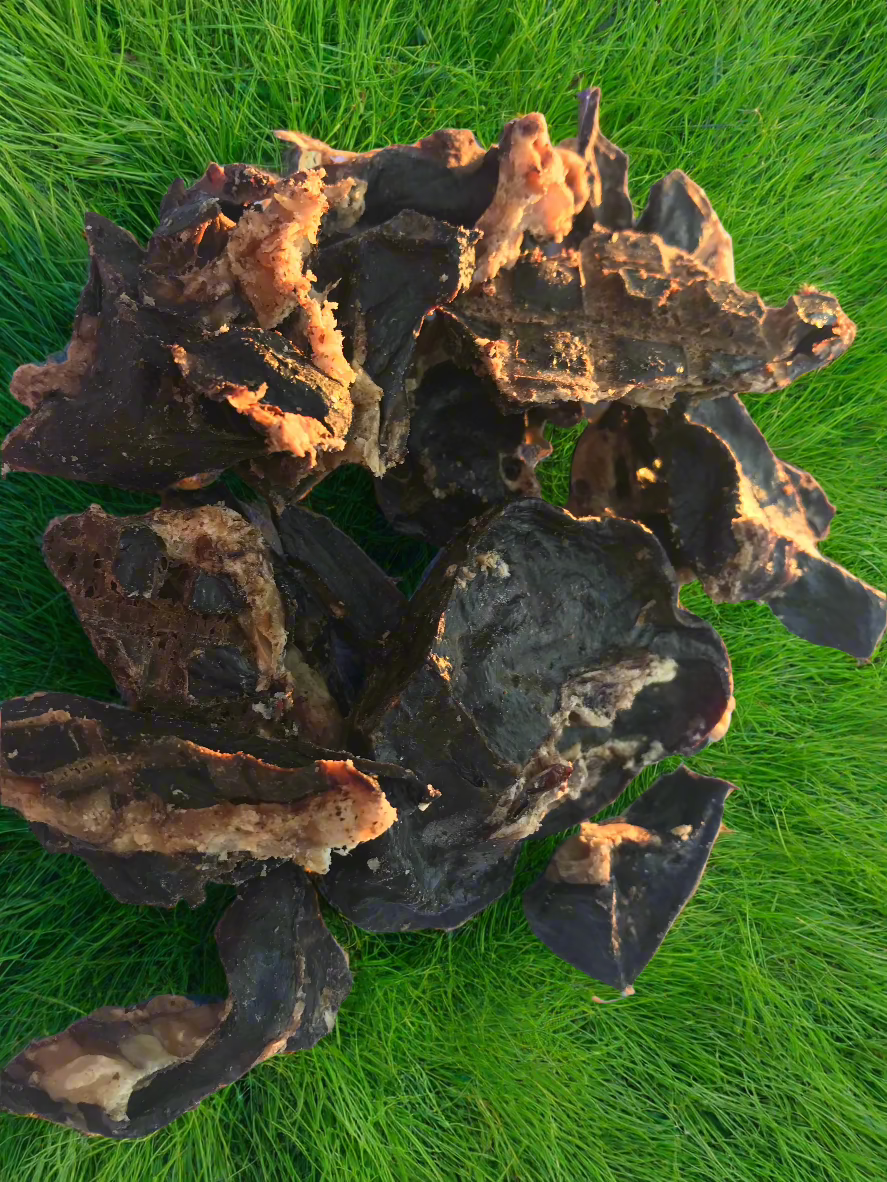 Pork Jerky