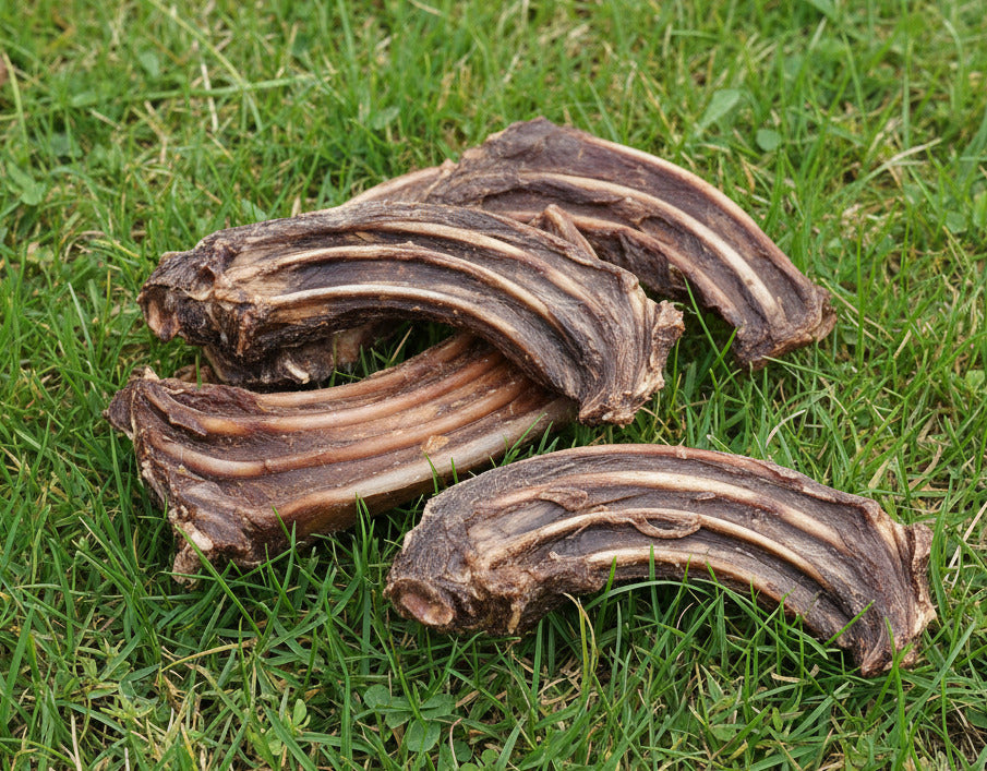 Roo Ribs
