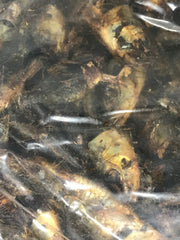 Sardine Meal