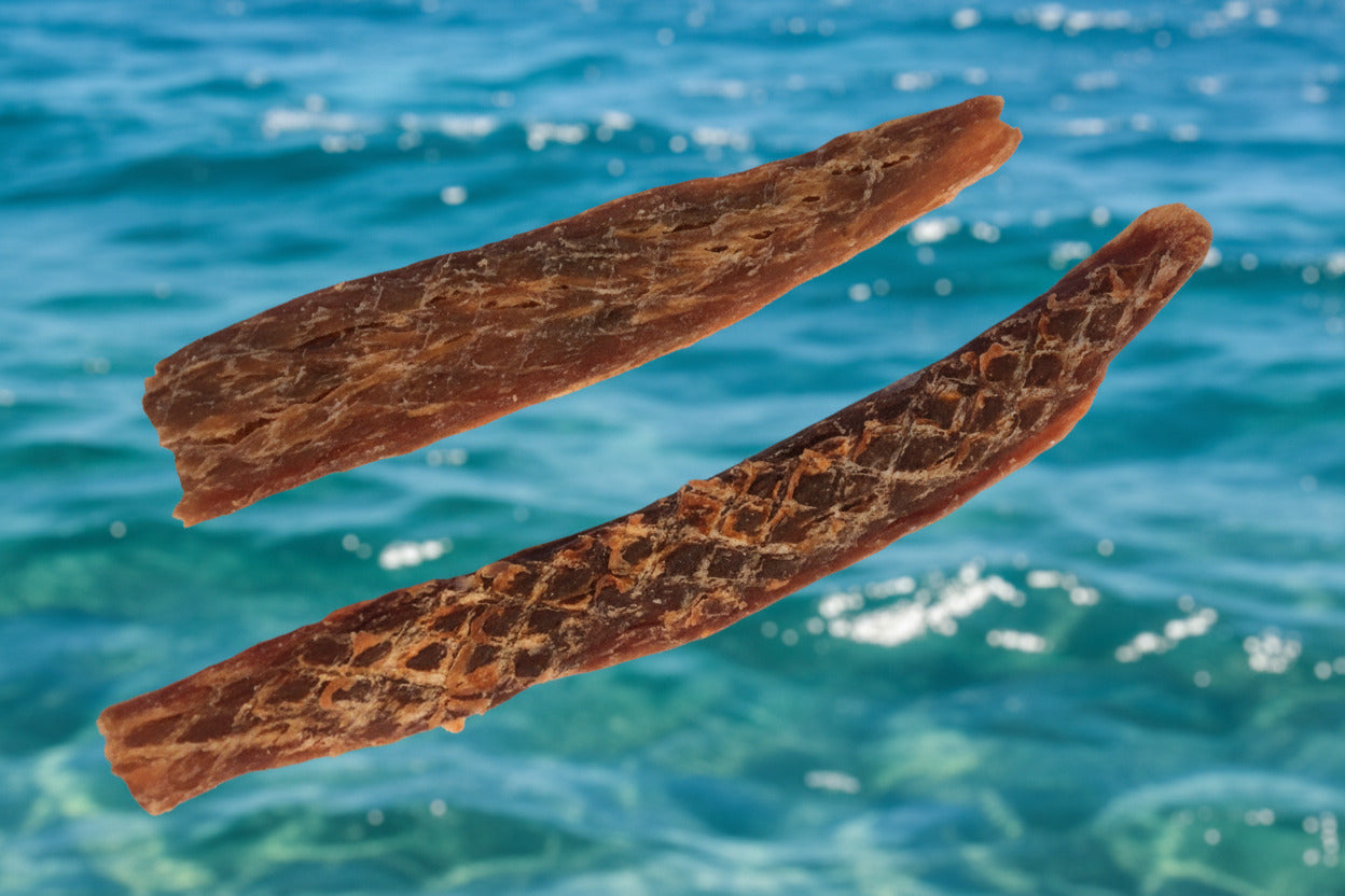 Shark Jerky Fillets 2