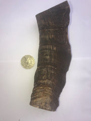 Goat Horns (Butts). GIANT! Extra Thick Cut. 120mm ave. Australian