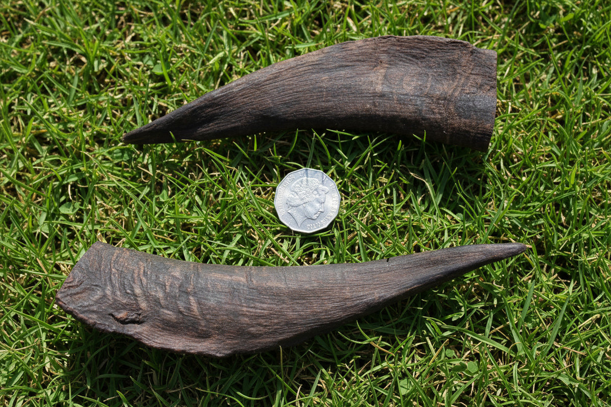 Goat Horns