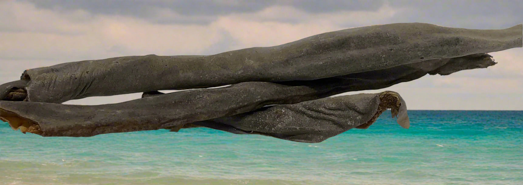 Shark Skin