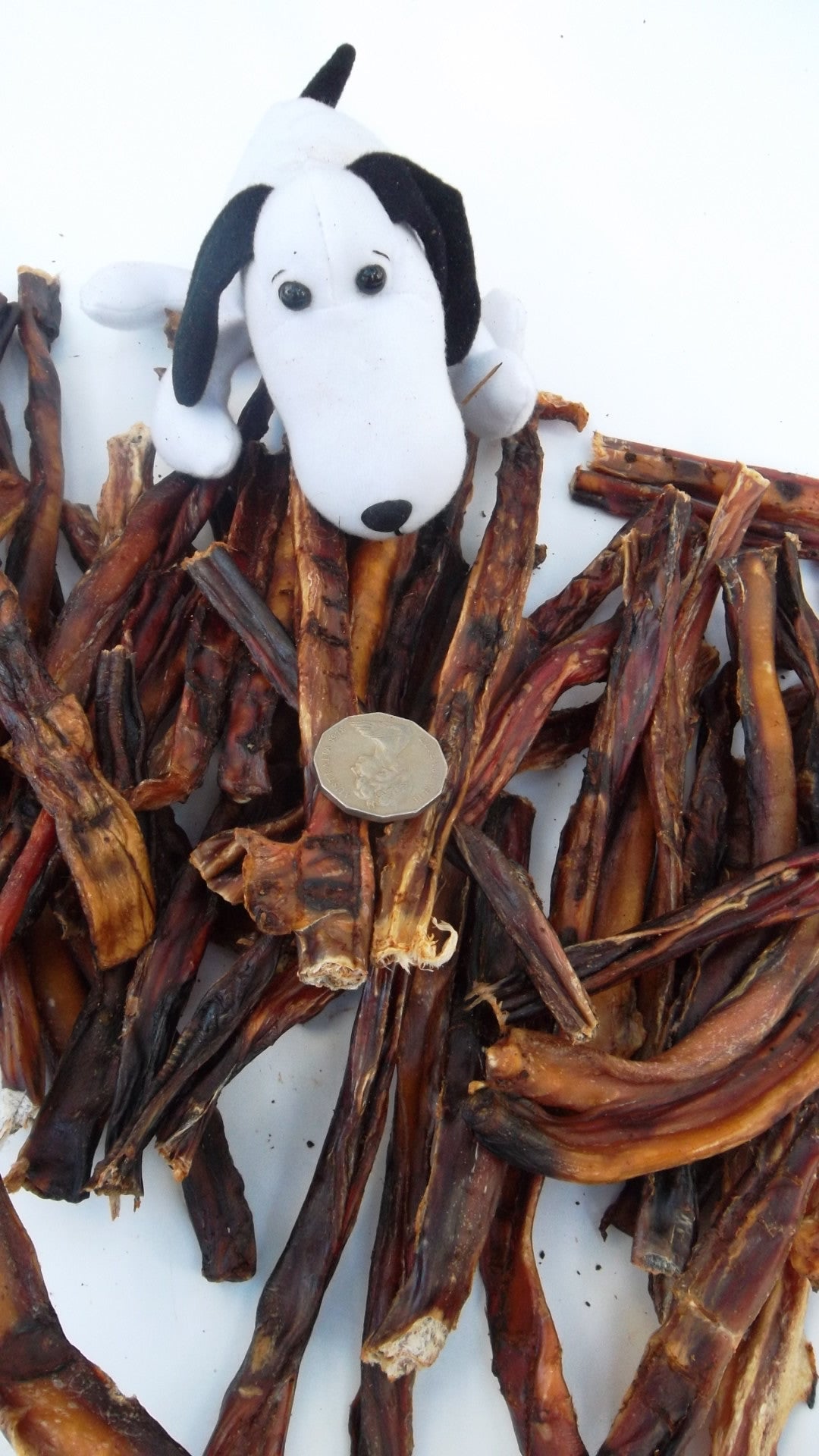 Bully Sticks (Pizzles) Small 100 - 130mm. Australian.